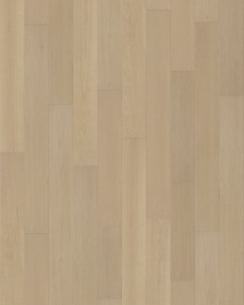 Bisque – Lusso engineered wood flooring plank swatch