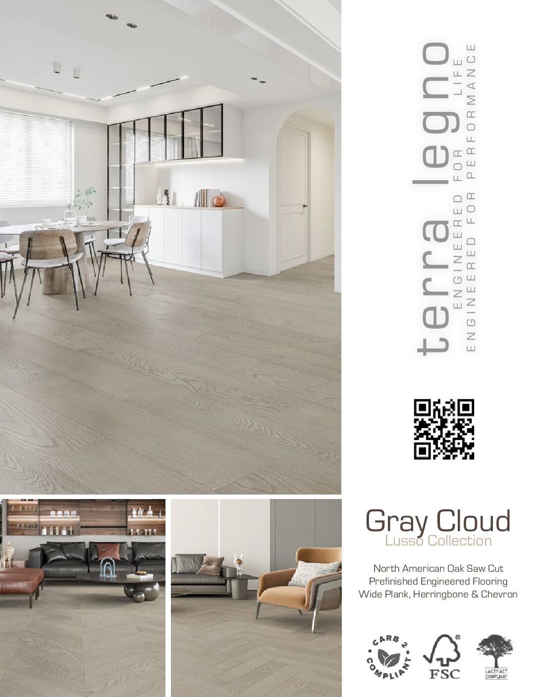 Gray Cloud - Image 3